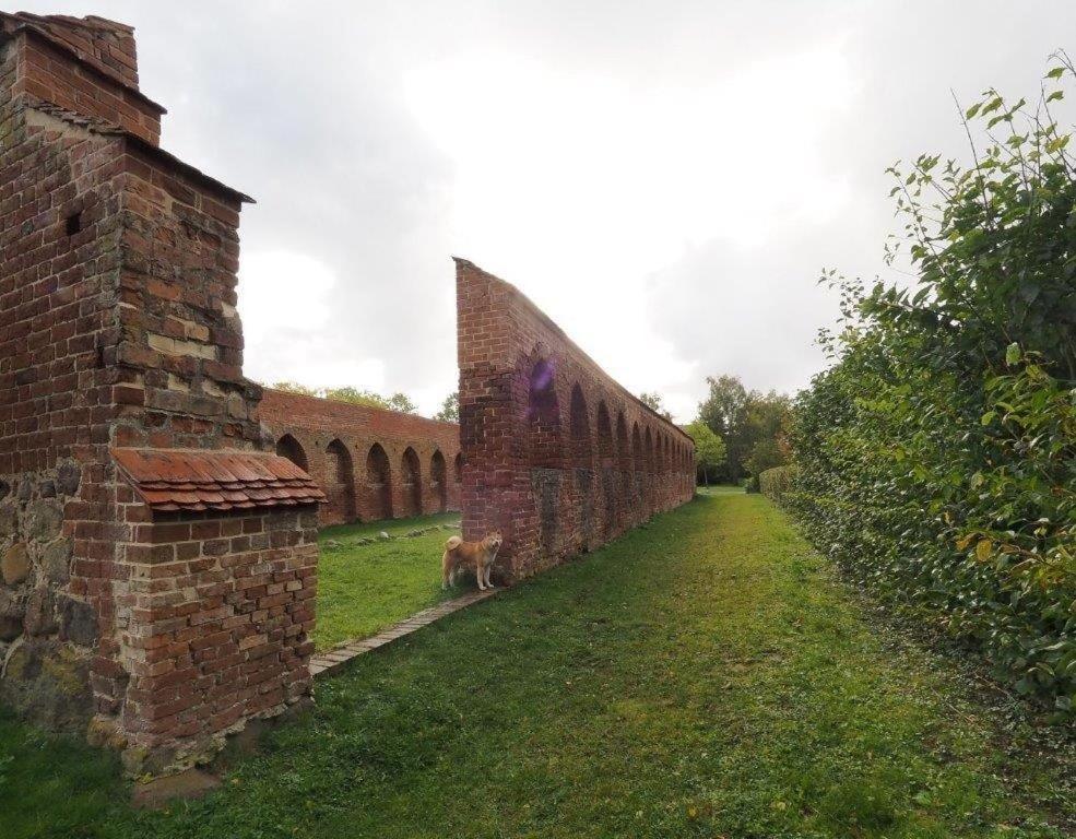 Klosterblick Bad Doberan Exterior photo